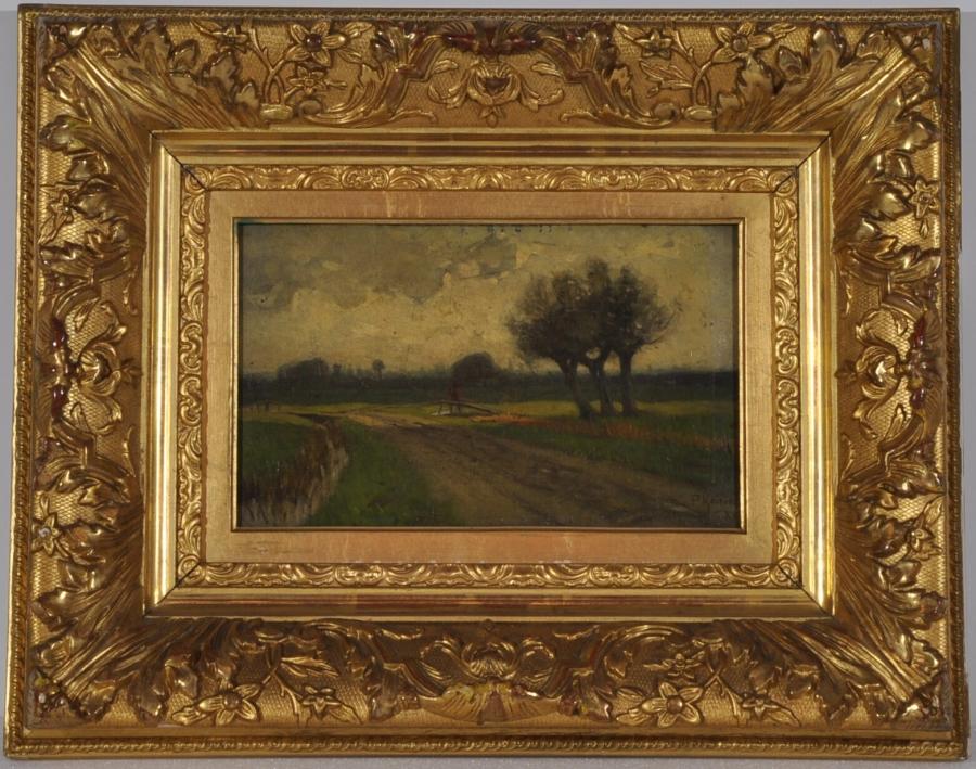 Meadow by early evening