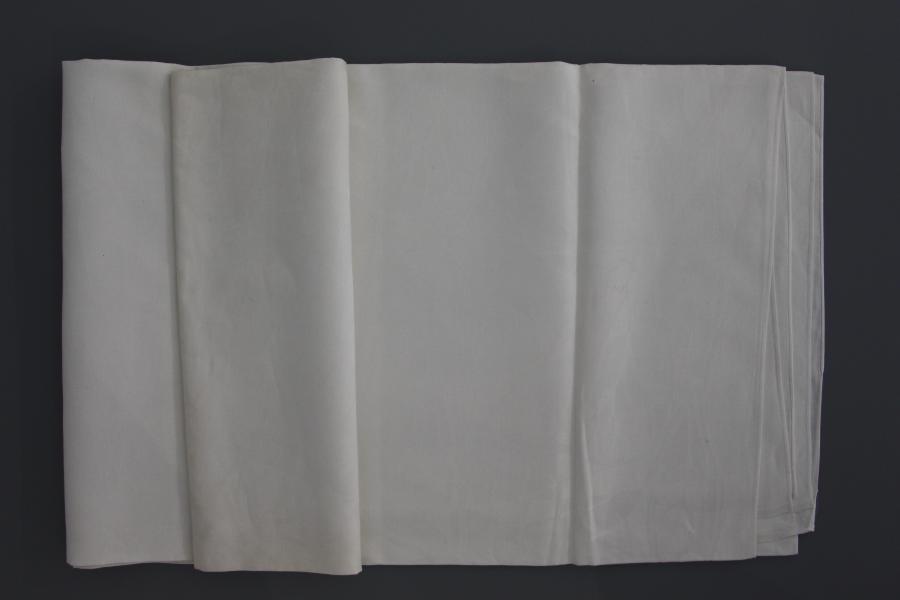 Doorstraalde blaeren (nr. 613)