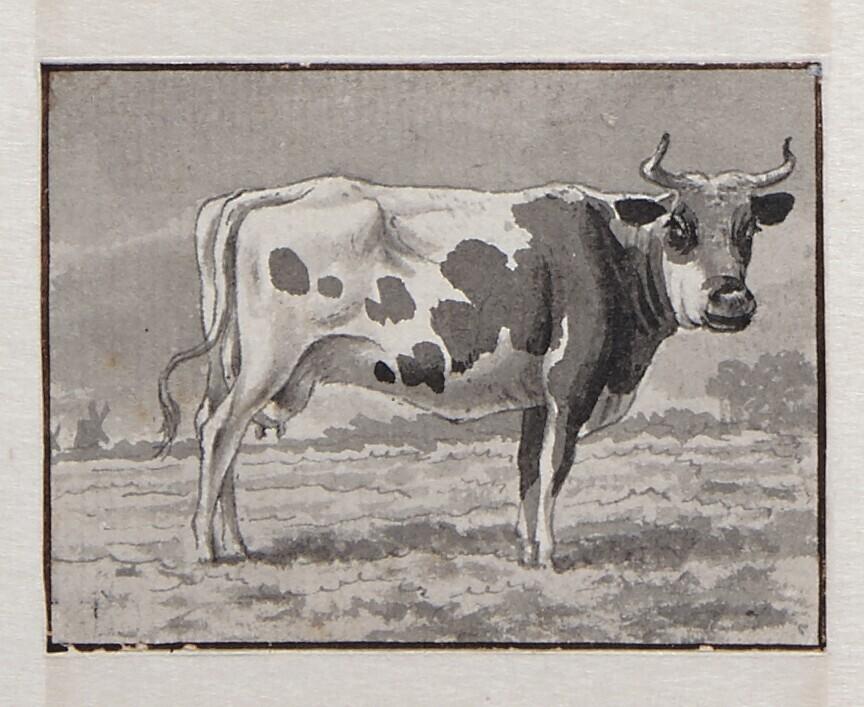 Staande koe in een weiland (uit een serie van twaalf studiebladen)