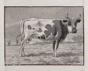 staande-koe-in-een-weiland-uit-een-serie-van-twaalf-studiebladen