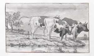 drie-koeien-staand-in-een-weiland-aan-de-waterkant-uit-een-serie-van-twaalf-studiebladen