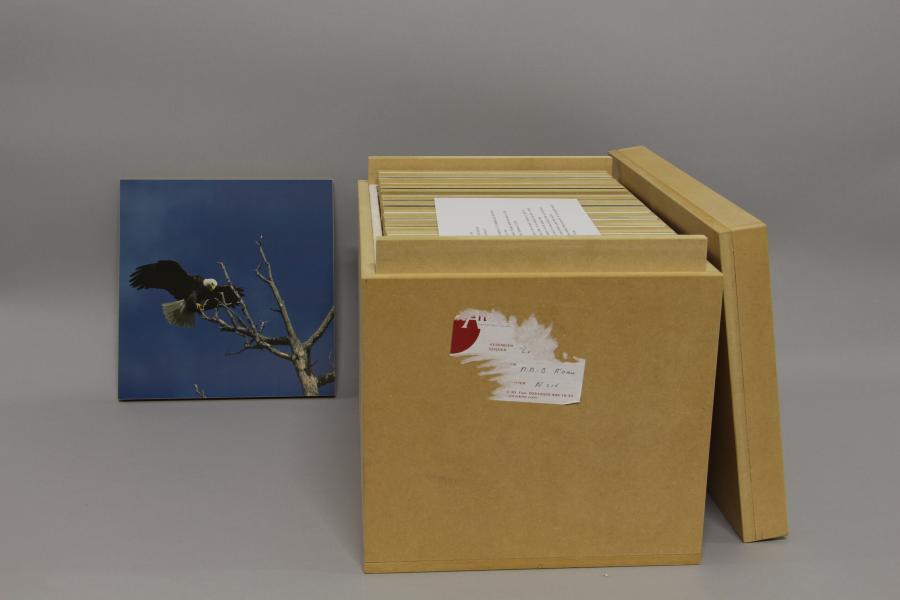 Zonder titel (S86 W1 D24)