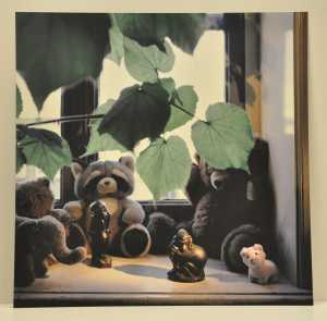 michel-9-over-twee-aapjes-uit-1908-van-j-mendes-da-costa