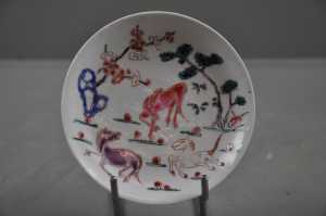 dish 