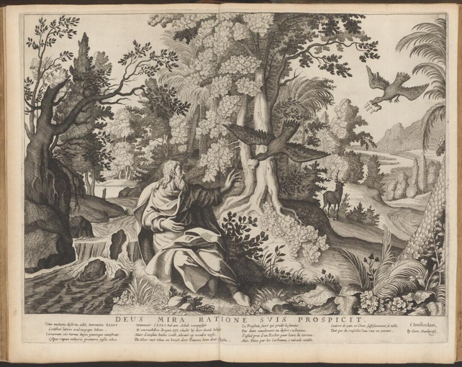 Elia gevoed door de raven