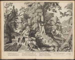 elia-gevoed-door-de-raven