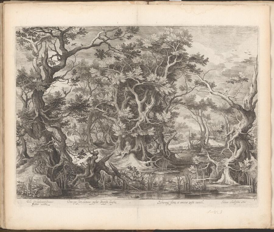 Saint John the Baptist in the Desert