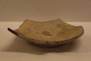 dish 