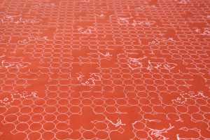 layers-vineyard-small-002-scarlet-peony