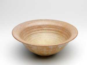 dish