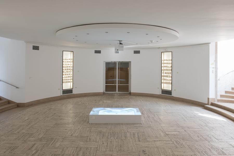 On the Memory of the Hands