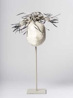 TMSFoto/KNV/B 677 a-c (KN&V)_2_CdJ20250923.jpg