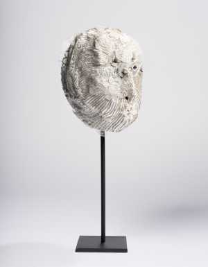 TMSFoto/KNV/B 681 (KN&V)_3_CdJ20250923.jpg