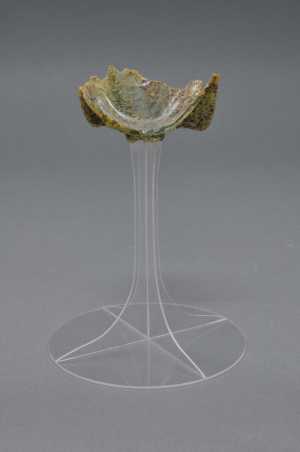 kelkglas