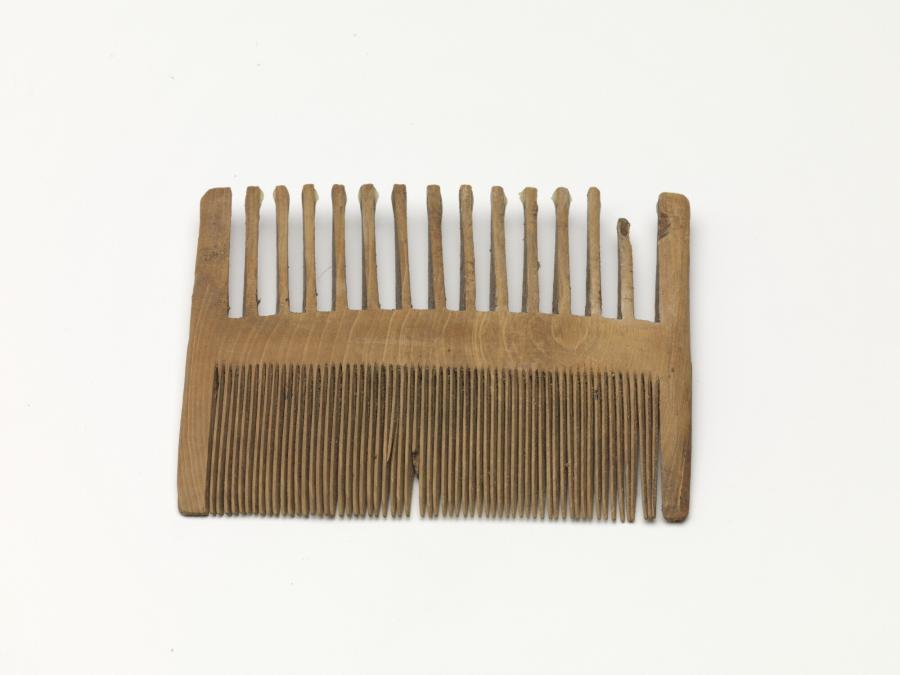 lice comb