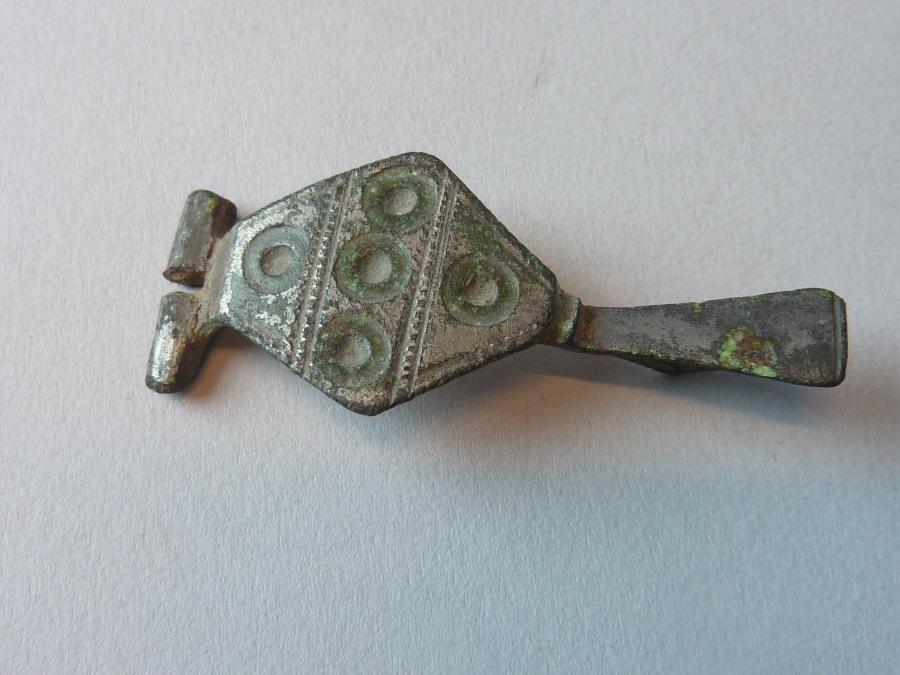 stirrup-shaped fibula