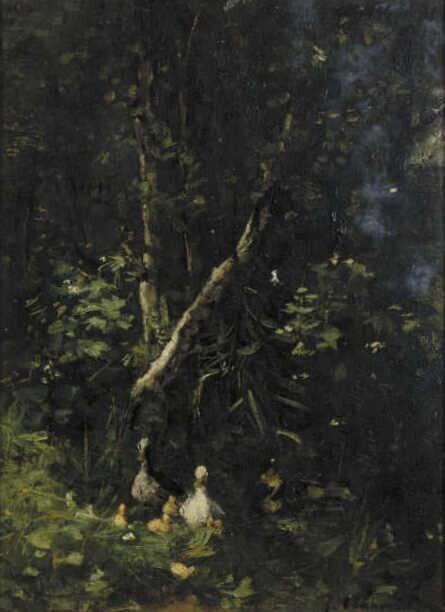 Eendjes op het water