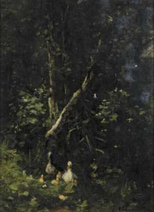 eendjes-op-het-water