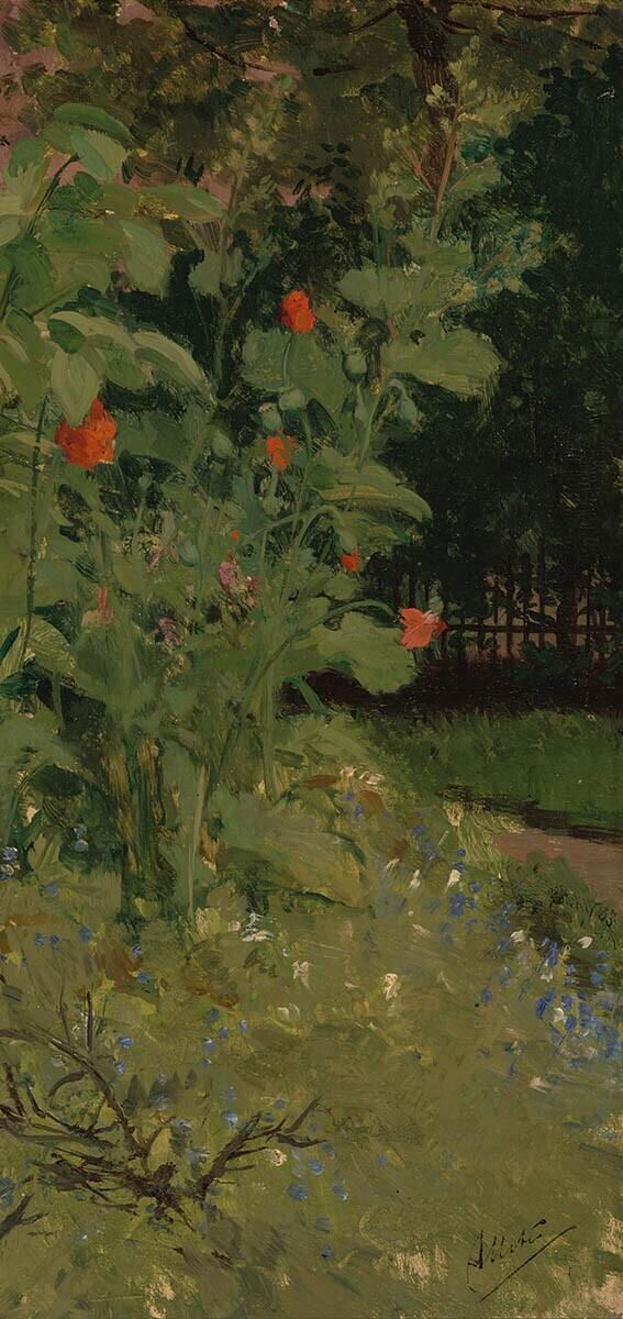 Tuinhoekje (Papavers)