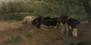 koeien-in-de-schaduw