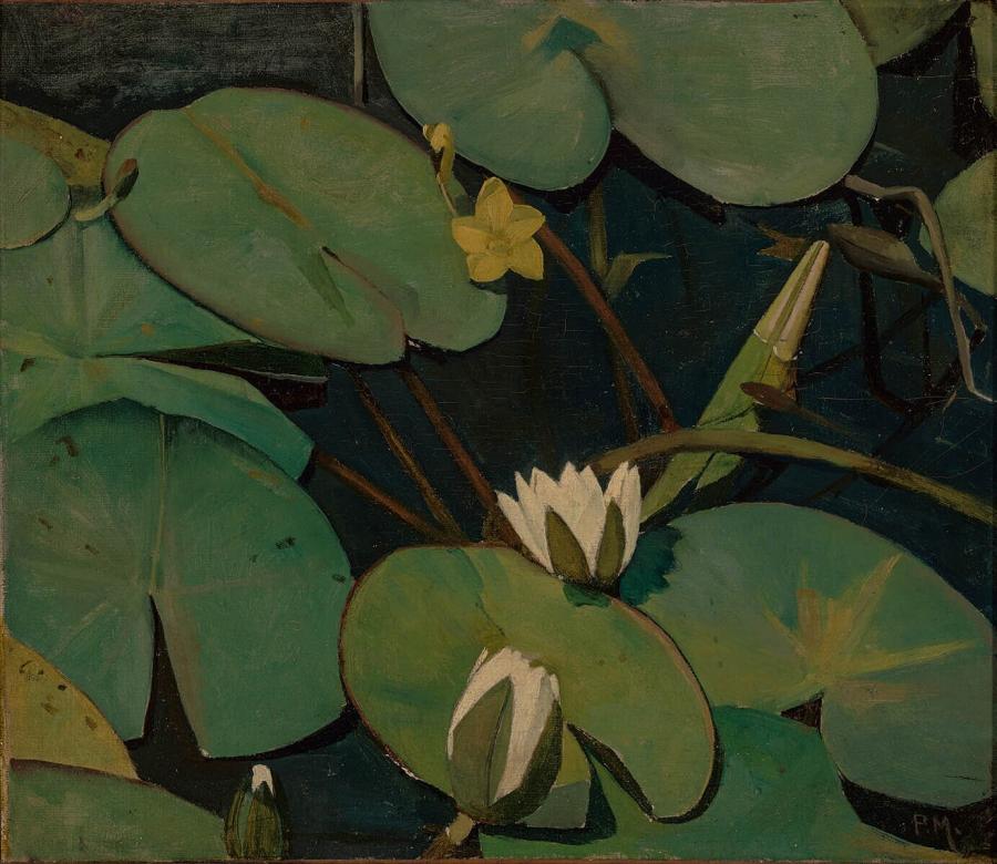 Water Lilies