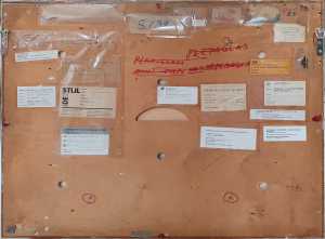 TMSFoto/MK/1543 (MK)_3.jpg