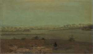 maannacht-bij-elspeet