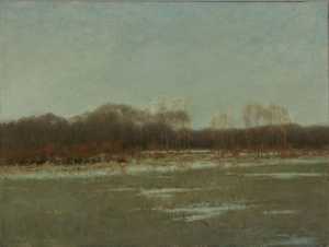 landschap-in-rijswijk