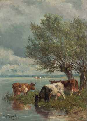 cows-near-water