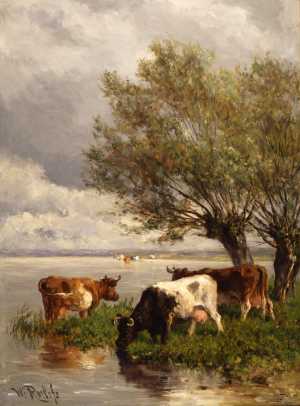 TMSFoto/MK/1729 (MK).jpg