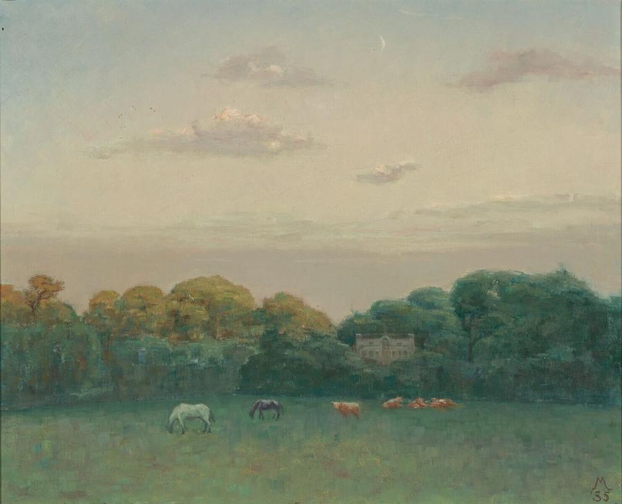 De weide van het kasteel