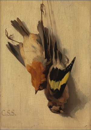 a-goldfinch-and-a-robin
