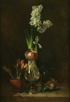 TMSFoto/MK/2257 (MK).JPG