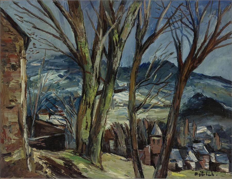 Village dans la vallée Thiézac (Dorpje in het dal van Thiézac )