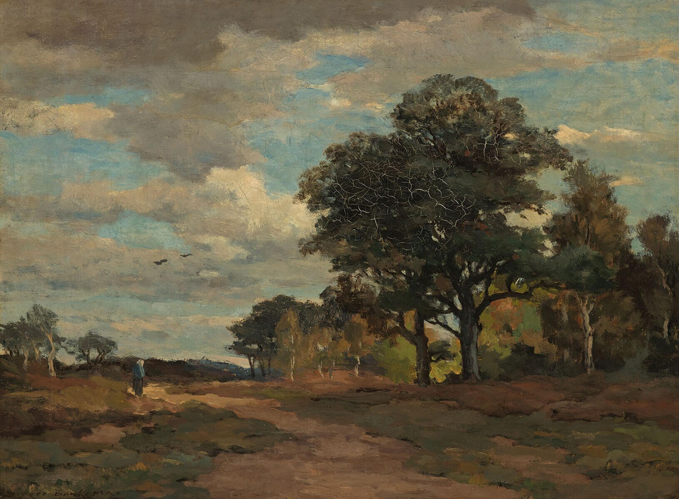 Sieger Baukema Museum Boijmans Van Beuningen