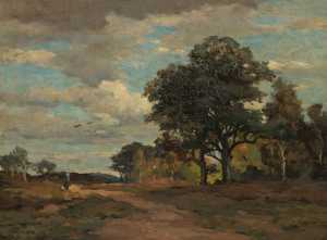 wooded-landscape-with-heather