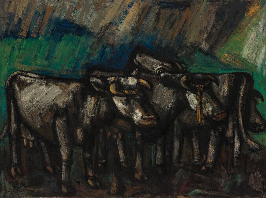 Koeien in de vochtige avond