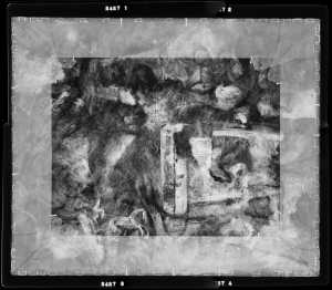 TMSFoto/MK/2427 (MK)_XRF_STITCH_RKG2020_06-11.jpg