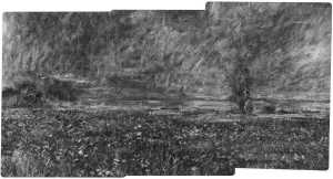 TMSFoto/MK/2611 (MK)_XRF_STITCH_A_RKG2020_06-11.jpg