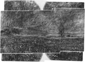 TMSFoto/MK/2611 (MK)_XRF_STITCH_A+B_RKG2020_06-11.jpg