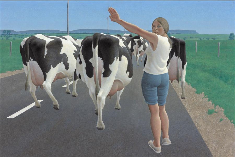 Stop for Cows 