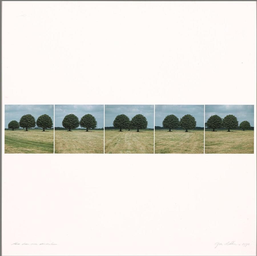 Three trees near Windesheim, O. 1