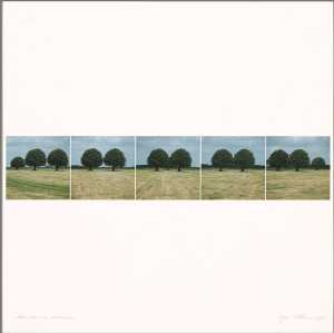 three-trees-near-windesheim-o-1