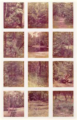 afbeeldingen-van-modellen-onder-hout