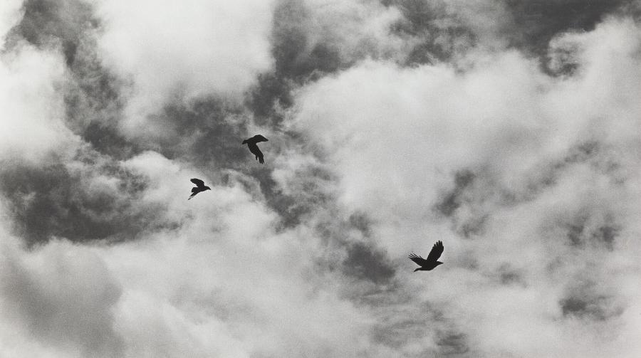 No Horizons, A One Day 50 Mile Walk, Southern England, Early Spring 1976 (Geen horizonnen, één dag 50 mijl wandelen, Zuid-Engeland, het vroege voorjaar 1976)