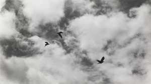 no-horizons-a-one-day-50-mile-walk-southern-england-early-spring-1976-geen-horizonnen-een-dag-50-mijl-wandelen-zuid-engeland-het-vroege-voorjaar-1976