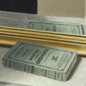 TMSFoto/MK/2939 (MK)_1.jpg