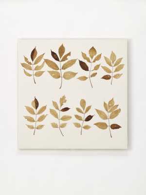 fotosynthese-vlier-1-2