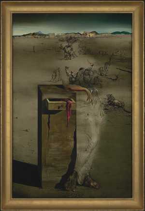 TMSFoto/MK/2990 (MK)_met lijst_JT20250804.jpg