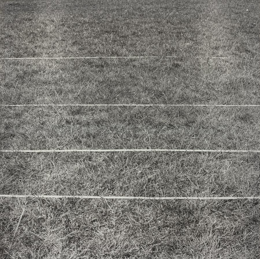 Perspective Correction, 4 Horizontal Lines